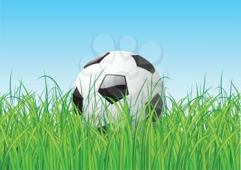 Royalty Free Clipart Image of a Soccer Ball in Grass