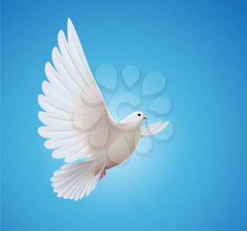 Vector illustration of beautiful shiny white dove flying way up in a blue sky