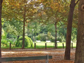 Royalty Free Photo of a Park in the Fall