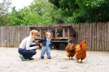 Royalty Free Photo of a Mother and Son Looking at Chickens