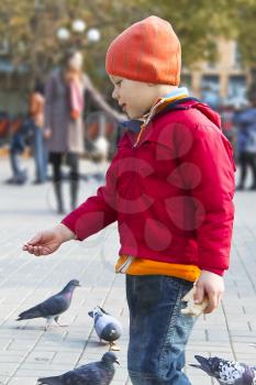 Royalty Free Photo of a Little Boy Feeding Pigeons