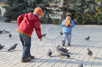 Royalty Free Photo of Children Feeding Pigeons