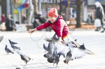 Royalty Free Photo of a Little Boy Chasing Pigeons