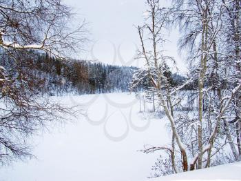 Royalty Free Photo of a Snowy Landscape