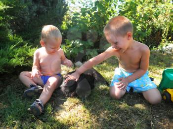Royalty Free Photo of Two Boys Petting a Cat
