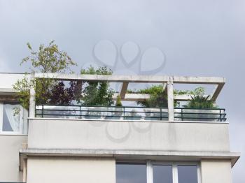 Royalty Free Photo of Plants on a Balcony