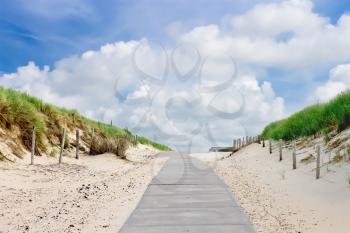 The road in dunes to the beach. Netherlands
