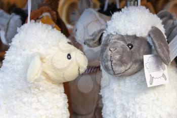 Soft toy sheep in the souvenir shop
