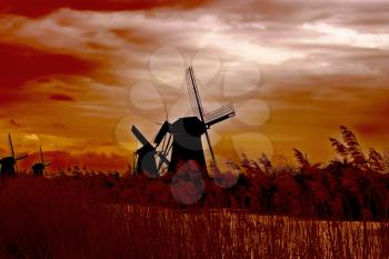 Windmill at sunset. Dutch landscape