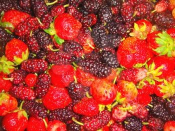 Royalty Free Photo of a Mixed Berries