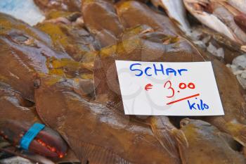 Sales of fresh flounder on the market