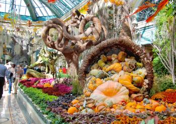 LAS VEGAS, NEVADA, USA - OCTOBER 21, 2013 : Autumn theme in a greenhouse at Bellagio Hotel in Las Vegas, Bellagio Hotel and Casino opened in 1998. This luxury hotel  owned by MGM Resorts International