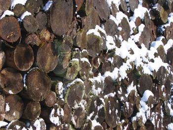 Stack of old firewood under the snow