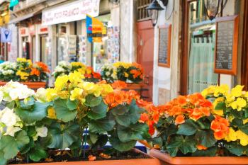 VENICE, ITALY - MAY 06, 2014:  Flowers decorate the outdoor cafe on the market in Venice, Italy