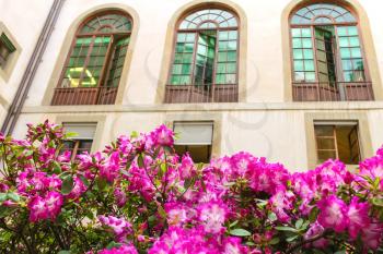 Flowers in front of house facade, Italy