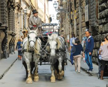 FLORENCE, ITALY - MAY 08, 2014: Racy coachman rides in a carriage pulled  by horses in Florence, Italy 