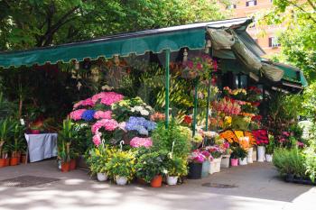 Shop on sale of flowers in the Italian city
