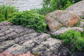 Wild flowers and moss-covered boulders near the river
