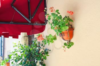 Pot of flowers adorn the walls of the house