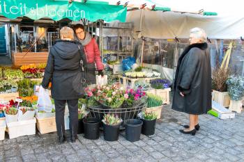 Den Bosch, Netherlands - January 17, 2015: People buy flowers in the market  in the Dutch town Den Bosch.