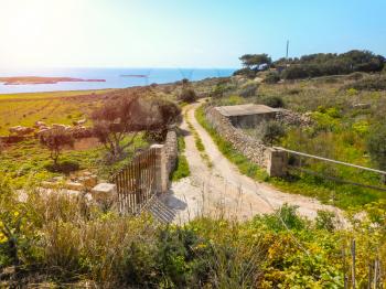 Rural road in the Sicilian island of Favignana