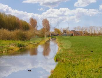 Green meadows and the canal near farm in  Netherlands.