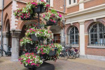 Decorative floral composition in the historic centre of Haarlem, the Netherlands