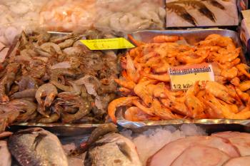 Sale of fresh seafood in the street market. Utrecht, the Netherlands