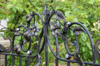 Elements of decorative floral ornament in forged fence