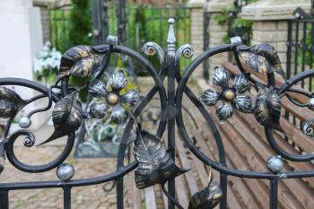 Elements of decorative floral ornament in forged fence
