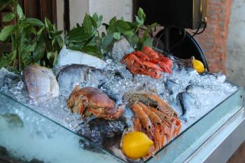 Fresh and cooked seafood in ice on display case