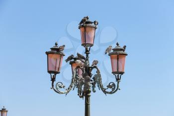 Old lantern with pigeons on famous St. Mark's Square in Venice, Italy