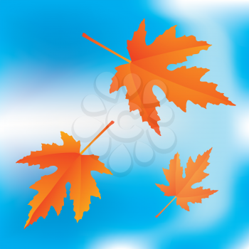 Royalty Free Clipart Image of Falling Maple Leaves on Blue Sky Background