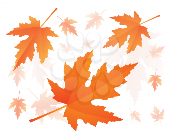 Royalty Free Clipart Image of Red Autumnal Falling Maple Leaves 