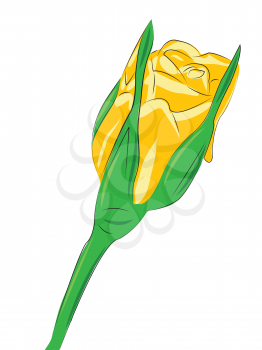 Royalty Free Clipart Image of a Yellow Flower on white Background