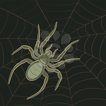 Royalty Free Clipart Image of a Spider on Spiderweb 