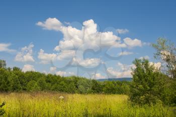 Royalty Free Photo of a Summer Landscape With a Blue Sky