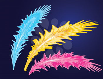 Set of bird feathers. Abstract decoration illustration.