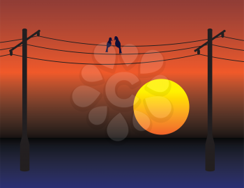 Birds date on electrical wires over red sunset sky
