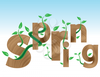 Wood textured Letters SPRING with new green leaves. Spring concept.