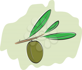 Single Olive on branch with leaves vector illustration
