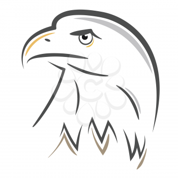 Stylized bald Eagle or Hawk head design. Vector illustration.