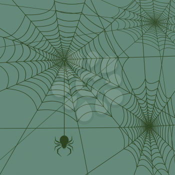 spiderweb with spider background square vector illustration
