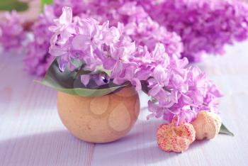 Spring purple lilac fresh flower close-up horizontal still life background. Blooming romance decoration macro template.