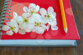 Romantic letter diary. Spring blossom on notebook with pencil love message symbol. Lovely flowers passion concept. Love lyrics book.