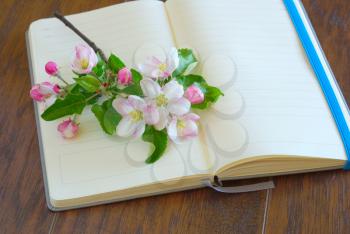 Flower spting blossom on blank diary page. Romantic lyrics notebook. Greeting writing paper. Open notepaper book with copy space.