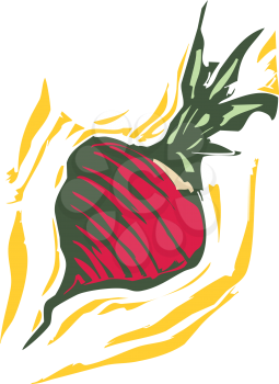 Royalty Free Clipart Image of a Turnip