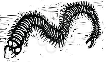 Royalty Free Clipart Image of a Centipede