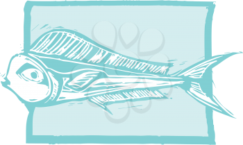 Royalty Free Clipart Image of a Mahi Mahi Fish