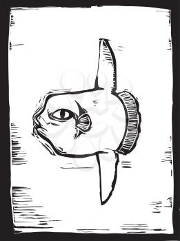 Royalty Free Clipart Image of an Sunfish